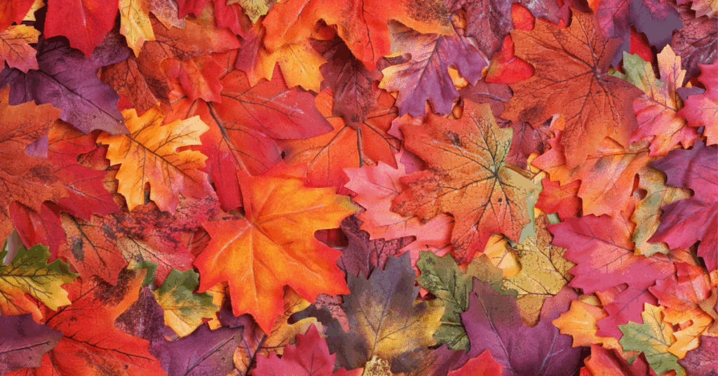 15 At-Home Date Night Ideas for Fall (That Actually Feel Special)